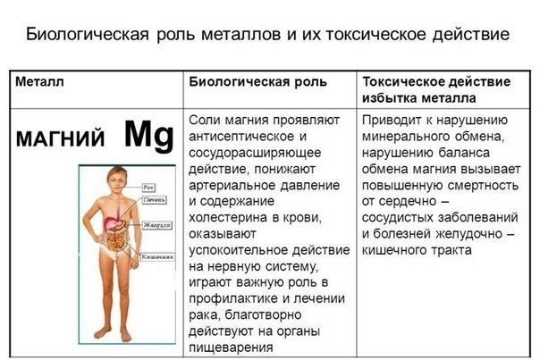 Магний и его роль в организме