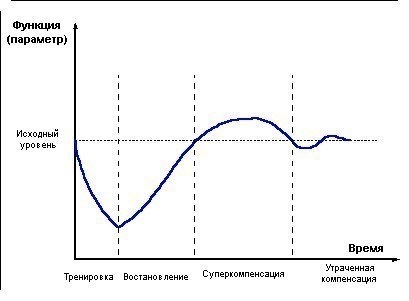 О восстановлении.