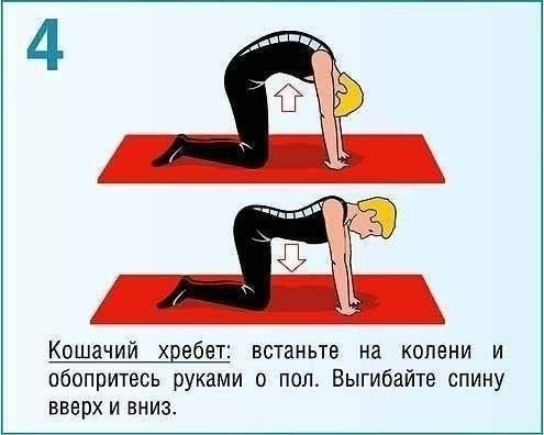 Чиним осанку!