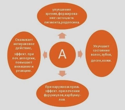 Витамины группы А. Витамины группы А.