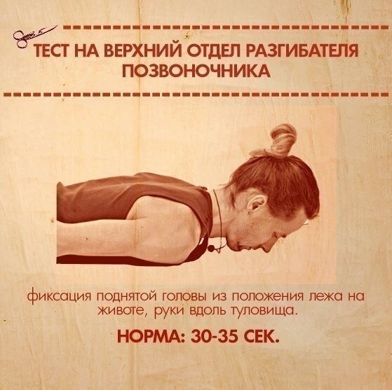 Тесты на функциональную слабость мышц Тесты на функциональную слабость мышц
