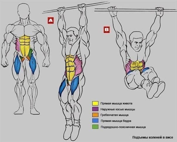 Упражнения на пресс