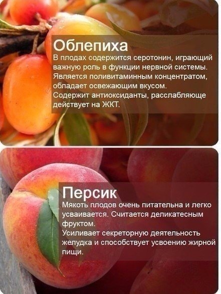 Польза продуктов