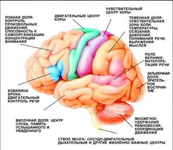 Тренируем мозг с помощью физических упражнений !