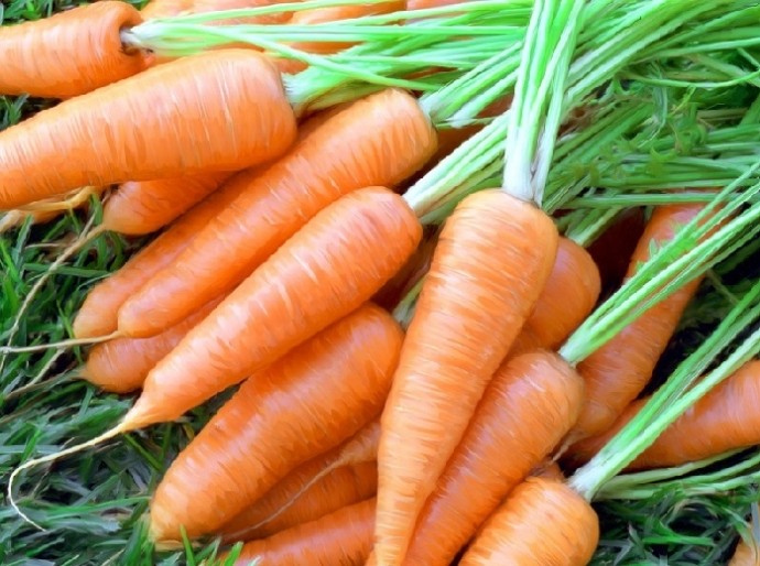5 продуктов, улучшающих память. 5 продуктов, улучшающих память.