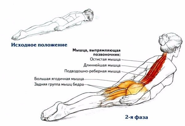 Лучшее упражнение для осанки