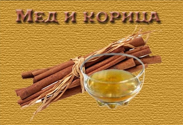 Волшебное сочетания меда и корицы творит чудеса в нашем организме!