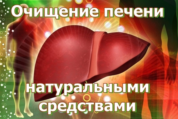 Топ-5 продуктов, которые очистят печень от токсинов.
