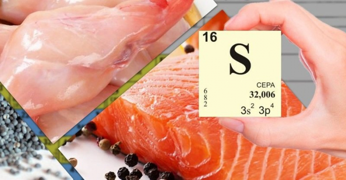 Зачем организму нужна сера, какие продукты богаты серой? Зачем организму нужна сера, какие продукты богаты серой?