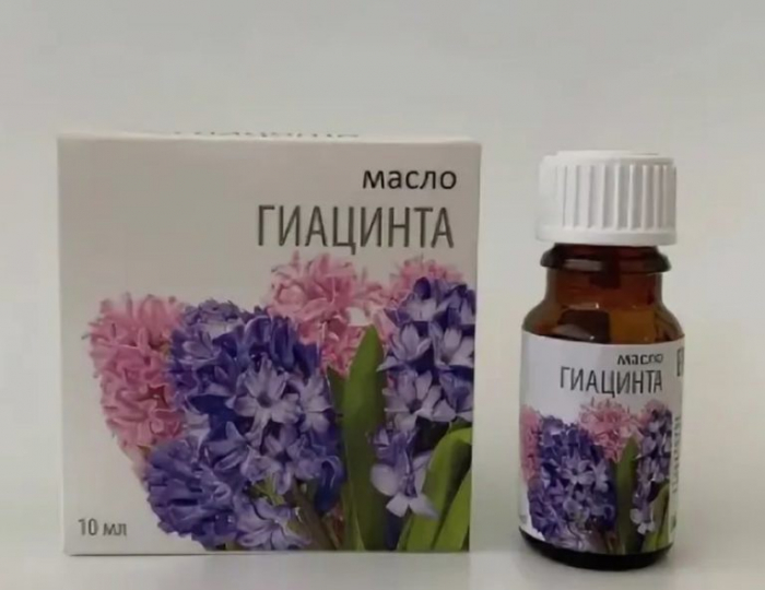 Эфирное масло гиацинта: свойства, применение. Эфирное масло гиацинта: свойства, применение.
