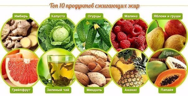 СПИСОК ПРОДУКТОВ, КОТОРЫЕ УСКОРЯЮТ МЕТАБОЛИЗМ СПИСОК ПРОДУКТОВ, КОТОРЫЕ УСКОРЯЮТ МЕТАБОЛИЗМ