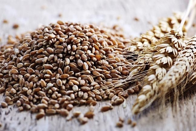 8 продуктов долголетия, доступных каждому! 8 продуктов долголетия, доступных каждому!