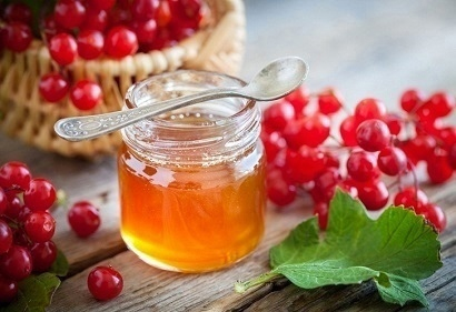 КАЛИНА С МЁДОМ КАЛИНА С МЁДОМ