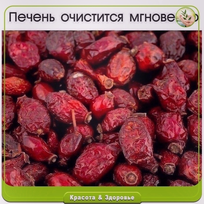 Очищaeм пeчeнь шипoвникoм. Очищaeм пeчeнь шипoвникoм.