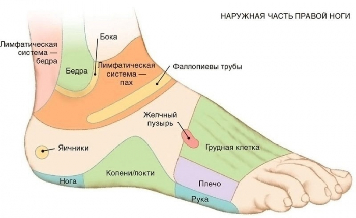 7 АКТИВНЫХ ТОЧЕК НА СТОПЕ, КОТОРЫЕ ВЕРНУТ ВАС К ЖИЗНИ ЗА ПАРУ МИНУТ! 7 АКТИВНЫХ ТОЧЕК НА СТОПЕ, КОТОРЫЕ ВЕРНУТ ВАС К ЖИЗНИ ЗА ПАРУ МИНУТ!