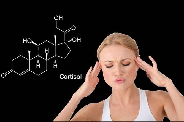 Как понизить уровень кортизола у женщин без вреда для здоровья?