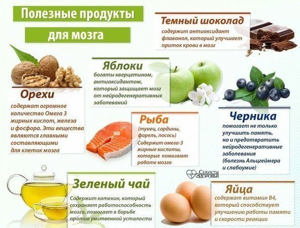 ПОЛЕЗНЫЕ ПРОДУКТЫ ДЛЯ МОЗГА