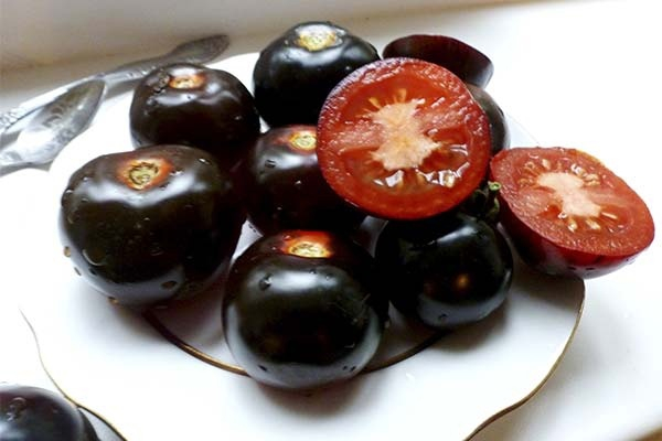 Чёрные томаты: сорта, польза и вред для здоровья.