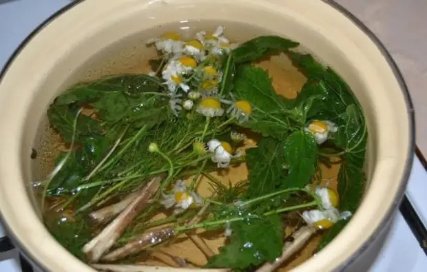 Технология приготовления настоев и отваров.