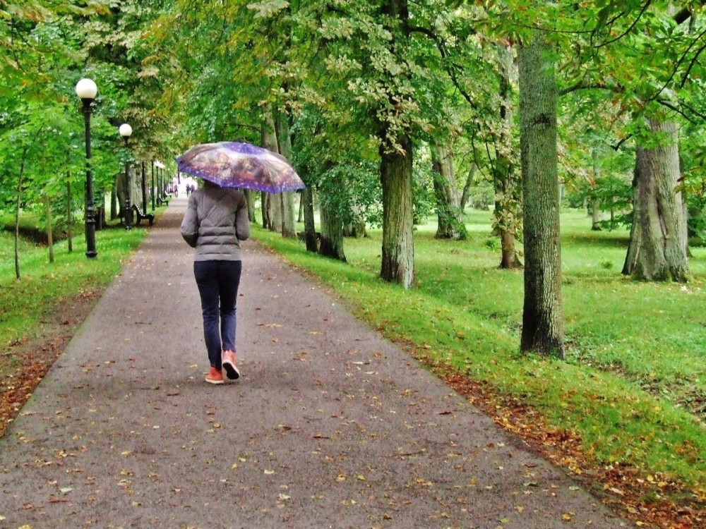 Как избавиться от злости и обид?