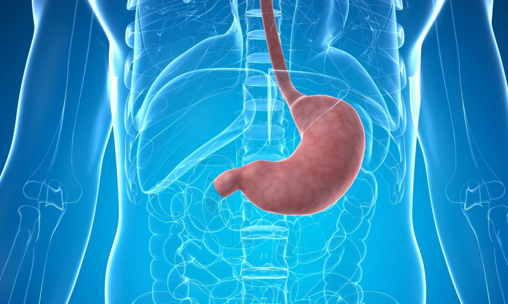 Язва желудка. Лечение народными методами.