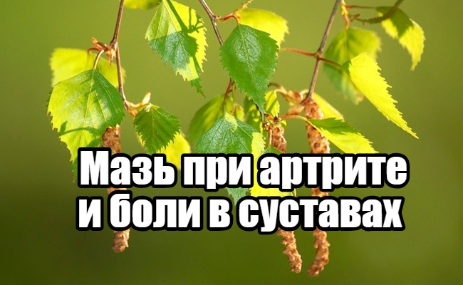 Мазь при артрите и боли в суставах Мазь при артрите и боли в суставах