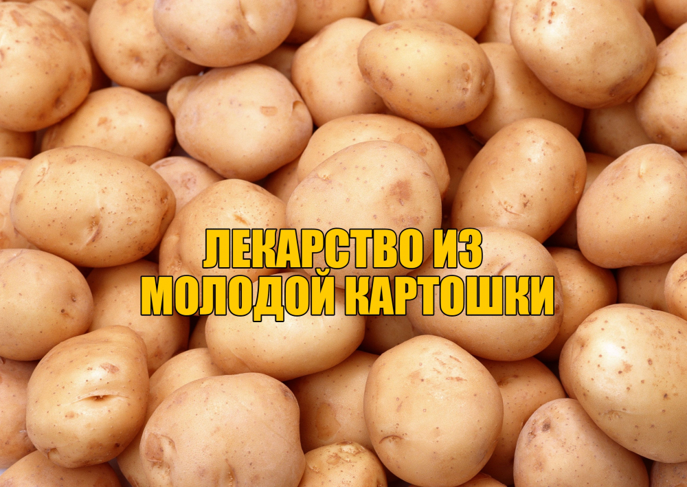 ЛЕКАРСТВО ИЗ МОЛОДОЙ КАРТОШКИ