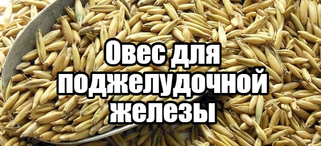 Овес и поджелудочная железа и печень