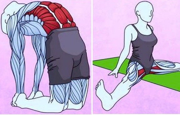 6 упражнений на растяжку, чтобы навсегда избавиться от боли в спине и