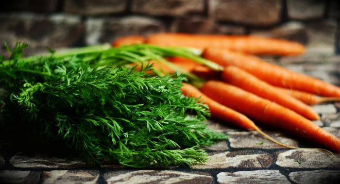 Рецепты здоровья: о пользе морковной ботвы и способах ее применения.
